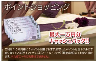 ポイントショッピング